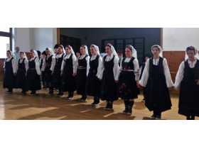 “Izvor Donji Tovarnik” nastupio u Karlovčiću